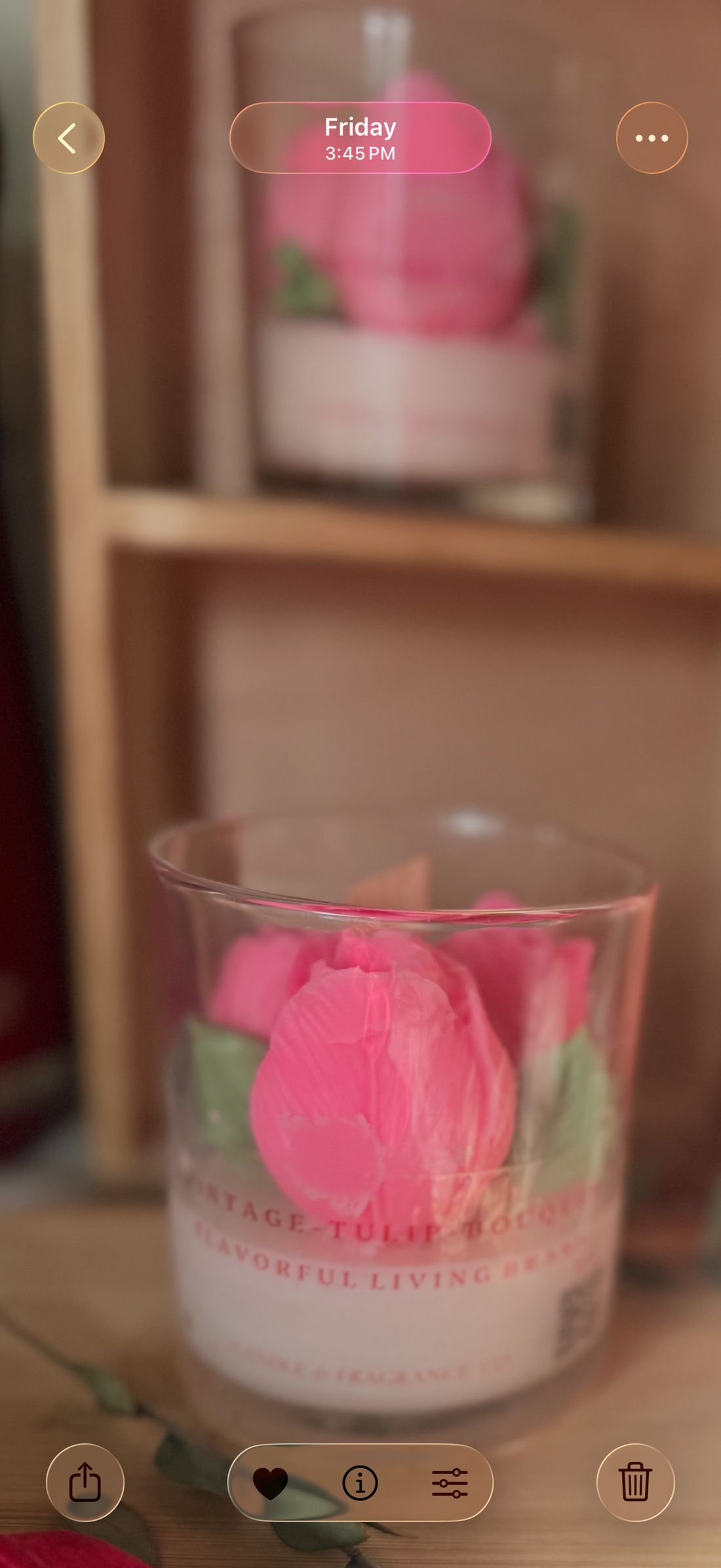 02/09/2026 A DAY IN THE LIFE 🌷